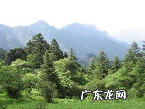 神农架是什么 神农顶在神农架的位置