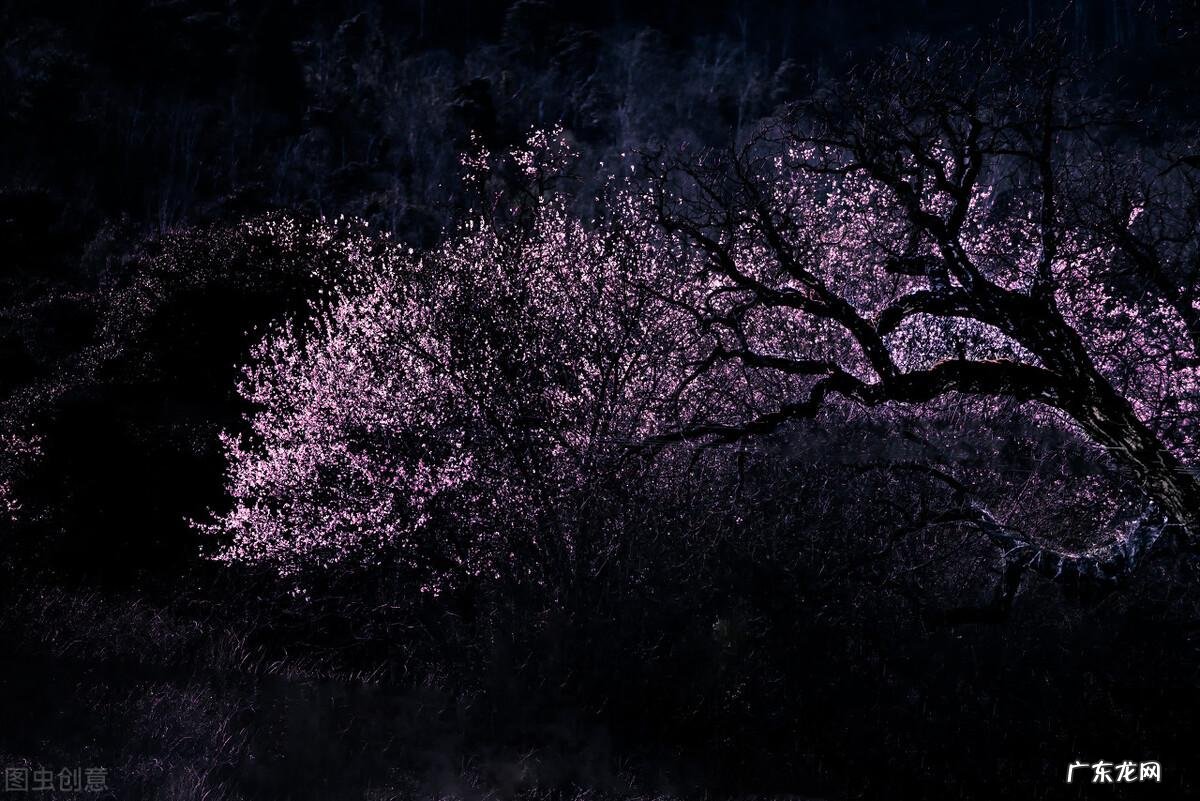 我的异能不日常 我的异能人生