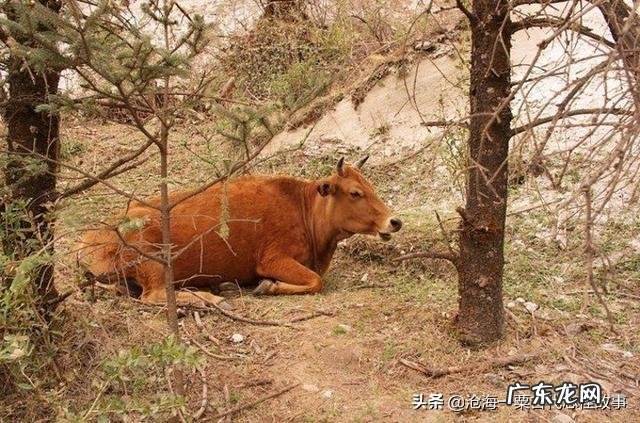 风水故事 风水文化经典故事有哪些