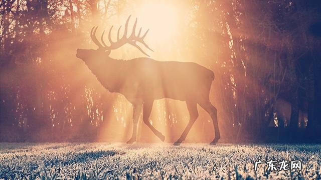 死机英文 死机的英语