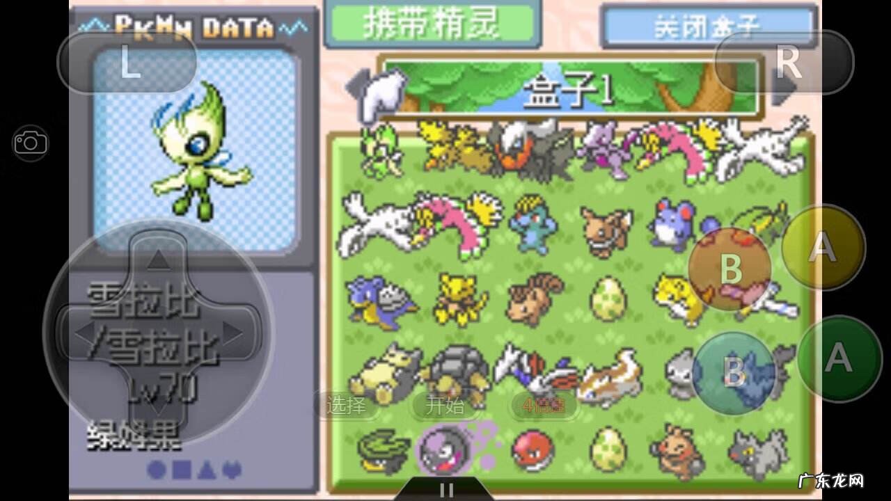 口袋灵兽 口袋神兽