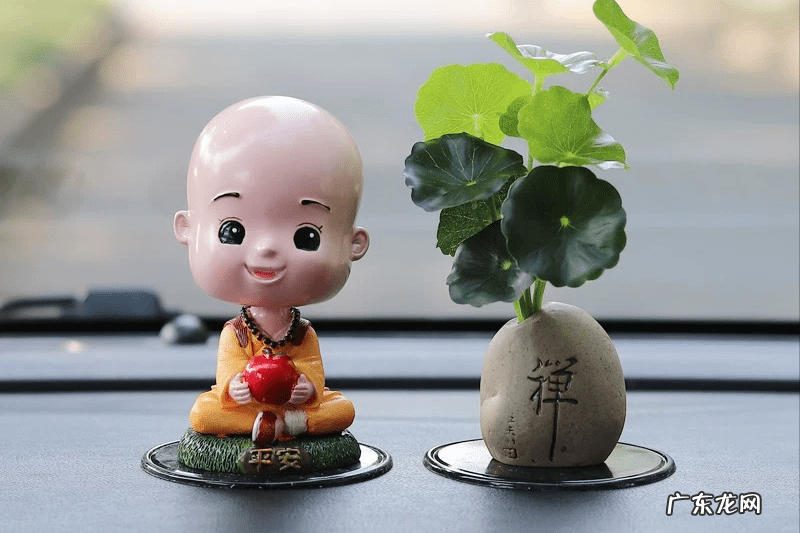 福兮祸兮的感悟 福兮祸兮是什么意思