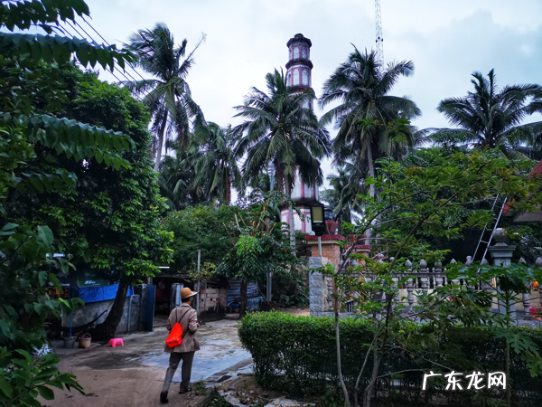 十大风水宝地 东郊椰林风水宝地