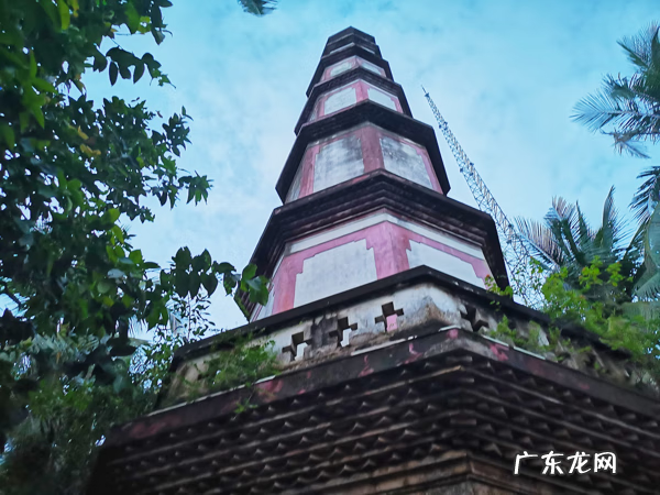 十大风水宝地 东郊椰林风水宝地