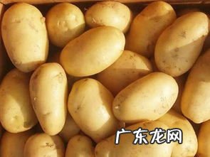 土豆青了没发芽还能吃不 土豆发青了,但是没有发芽,不知道能不能吃知乎