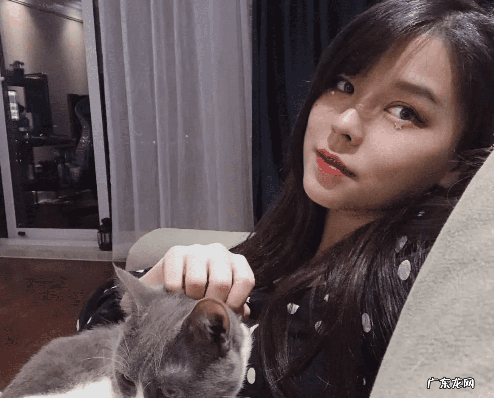 网络上说的麻豆是什么 麻豆是什么东西