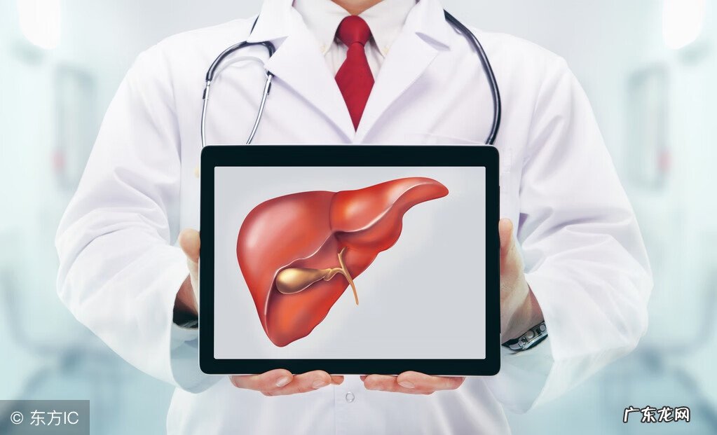 肝功能正常指标 肝功能检查指标分析