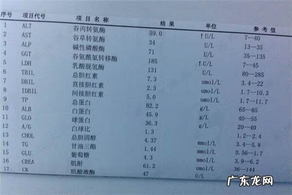 肝功能正常指标 肝功能检查指标分析