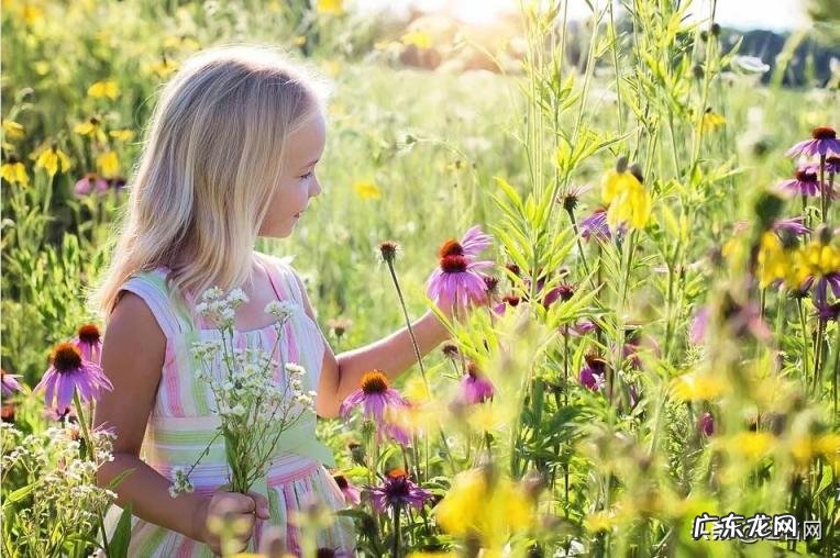 钰的读音拼音 钰到底读yu还是jue