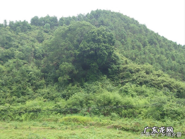 风水真的很神奇 神奇的风水传说