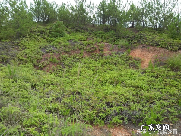 风水真的很神奇 神奇的风水传说