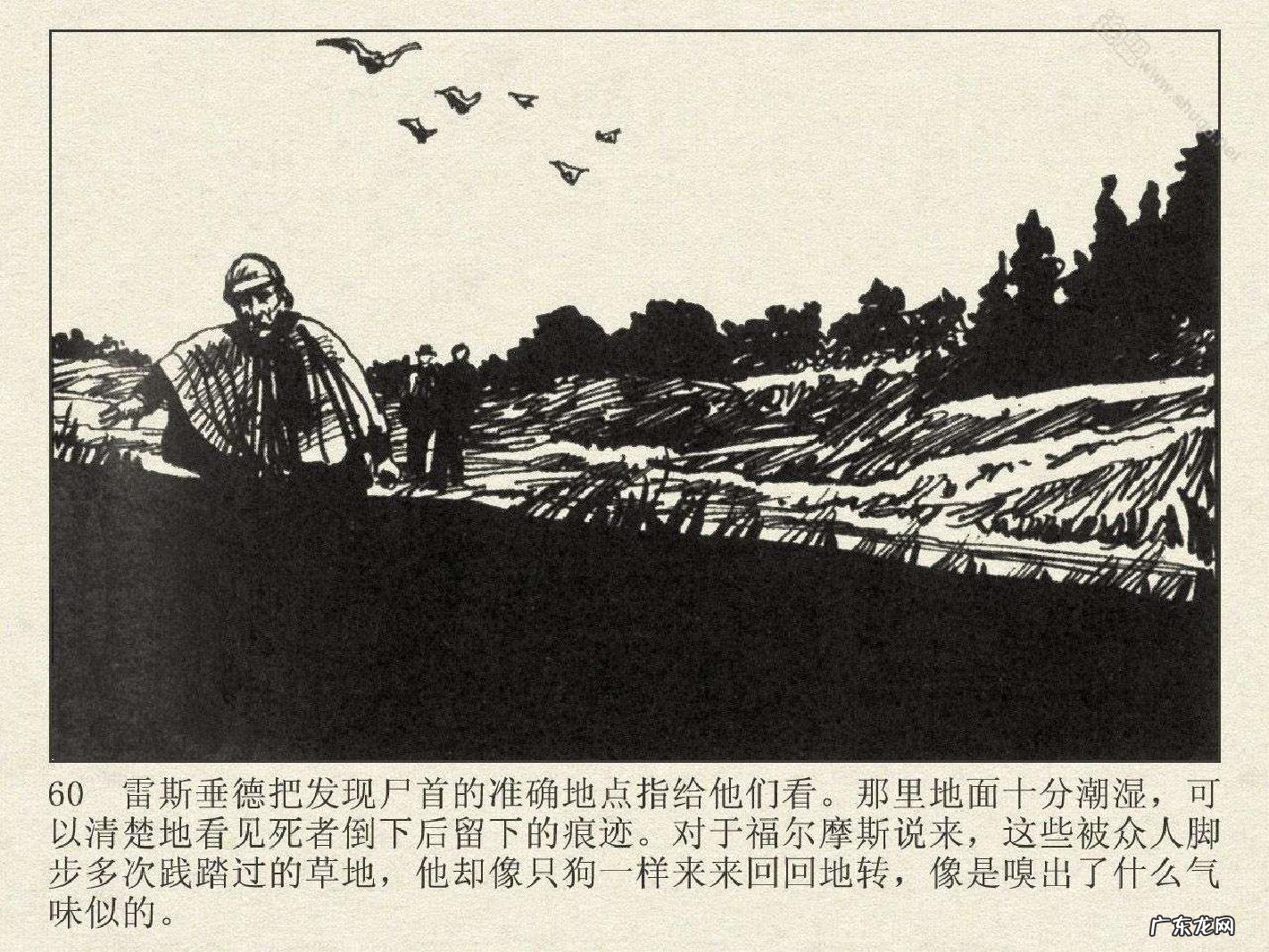 洛阳半山溪谷风水 博斯科姆比溪谷