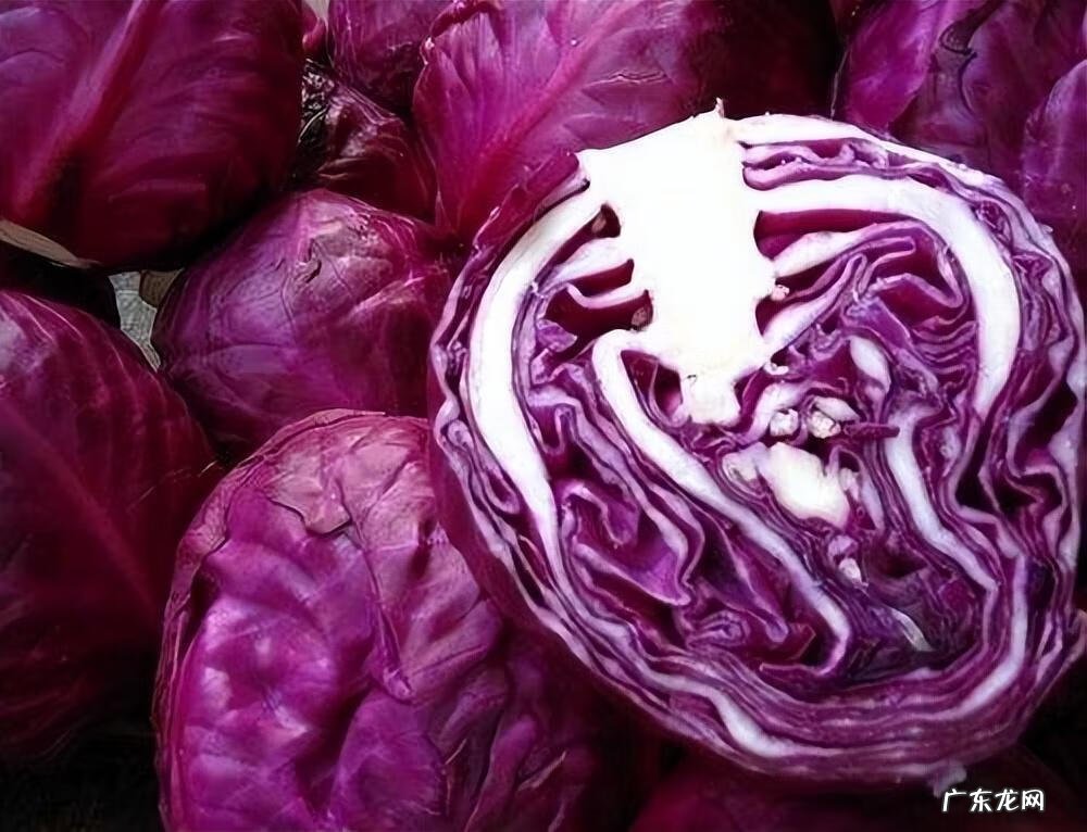 搬家一个月了晚上老是睡不好 在一个房间总是睡不安稳