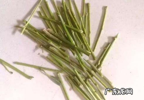 柳条是什么季节 杨柳枝药法