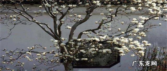 华东五市是哪五市景点 华东五市旅游景点