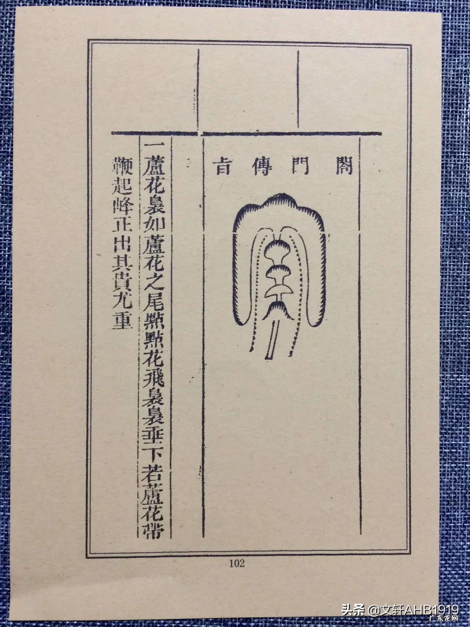 排版书籍 风水书的排版