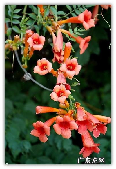 北方风水 风水中北方