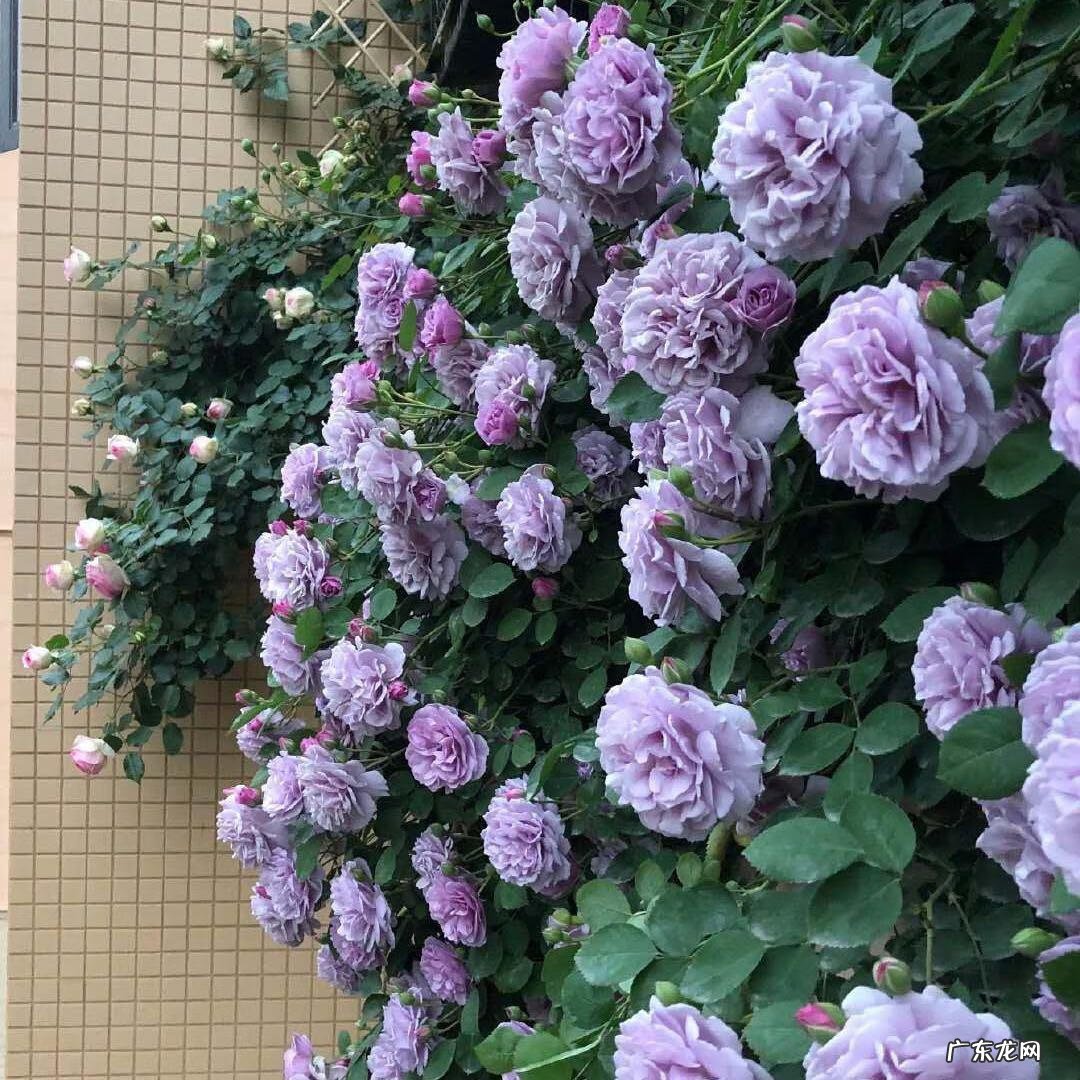 北方风水 风水中北方