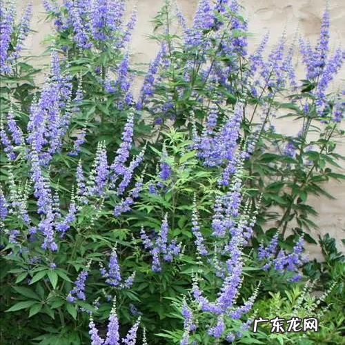 北方风水 风水中北方