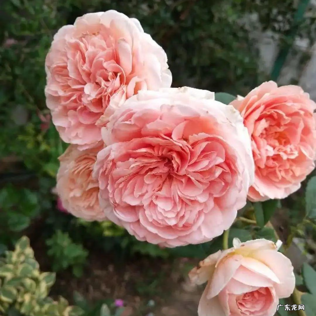 北方风水 风水中北方