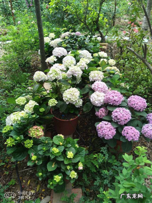 北方风水 风水中北方