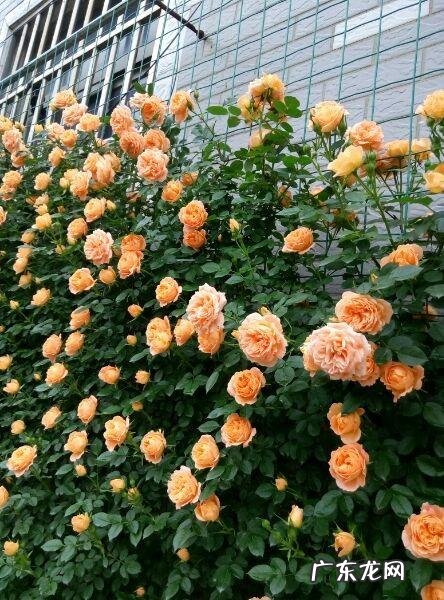 北方风水 风水中北方