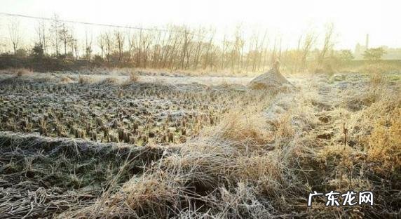 腊月是12月吗 冬月到底是11月还是12月