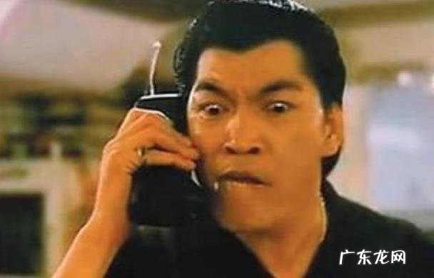 面相为鬼相的明星李明 面相为鬼相的明星刘嘉玲