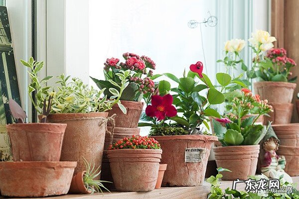 适合一两个人开的小店 一个人开个什么店好