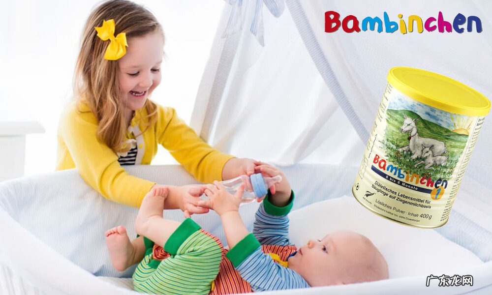 孕妇营养品排行榜 2013婴儿奶粉排行榜