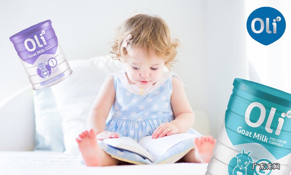 孕妇营养品排行榜 2013婴儿奶粉排行榜