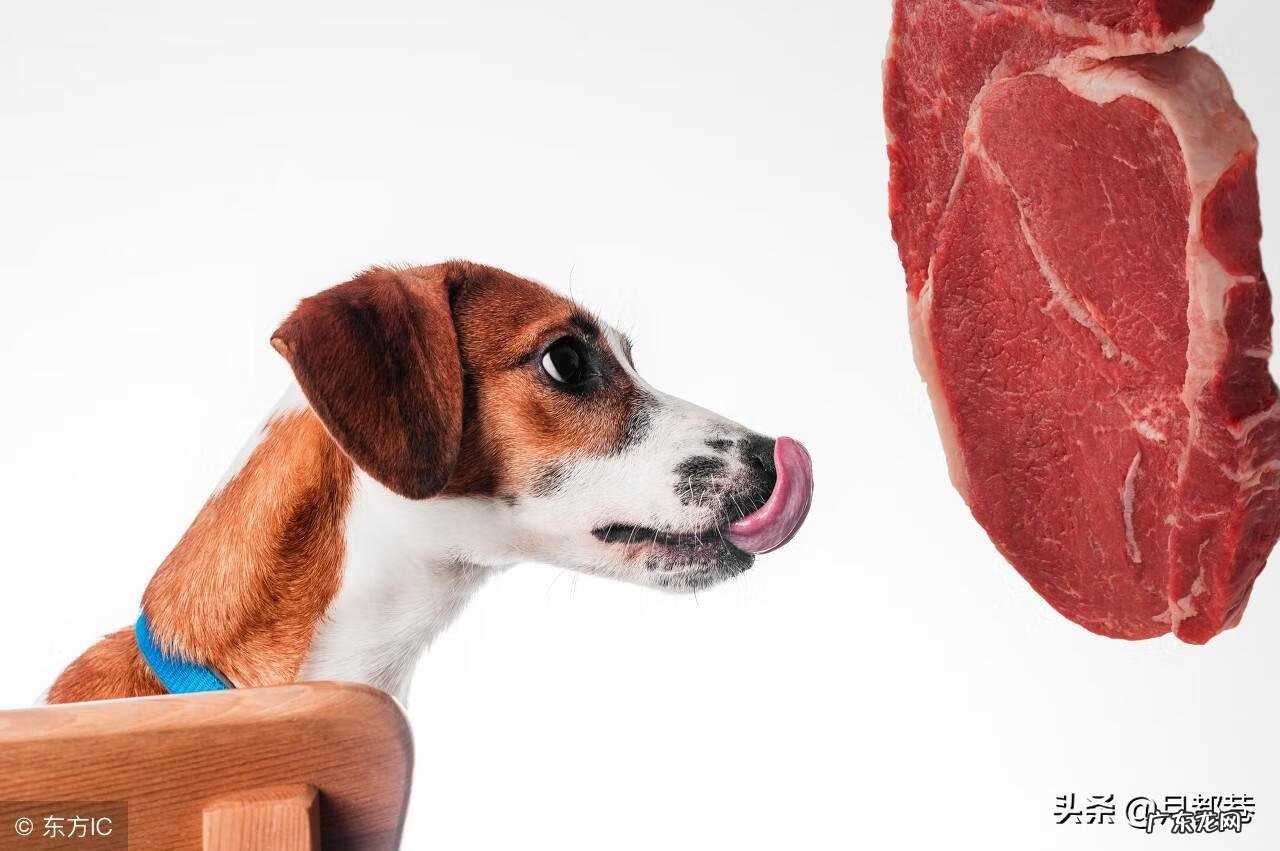 糖的品牌有哪些 可卡用什么制作