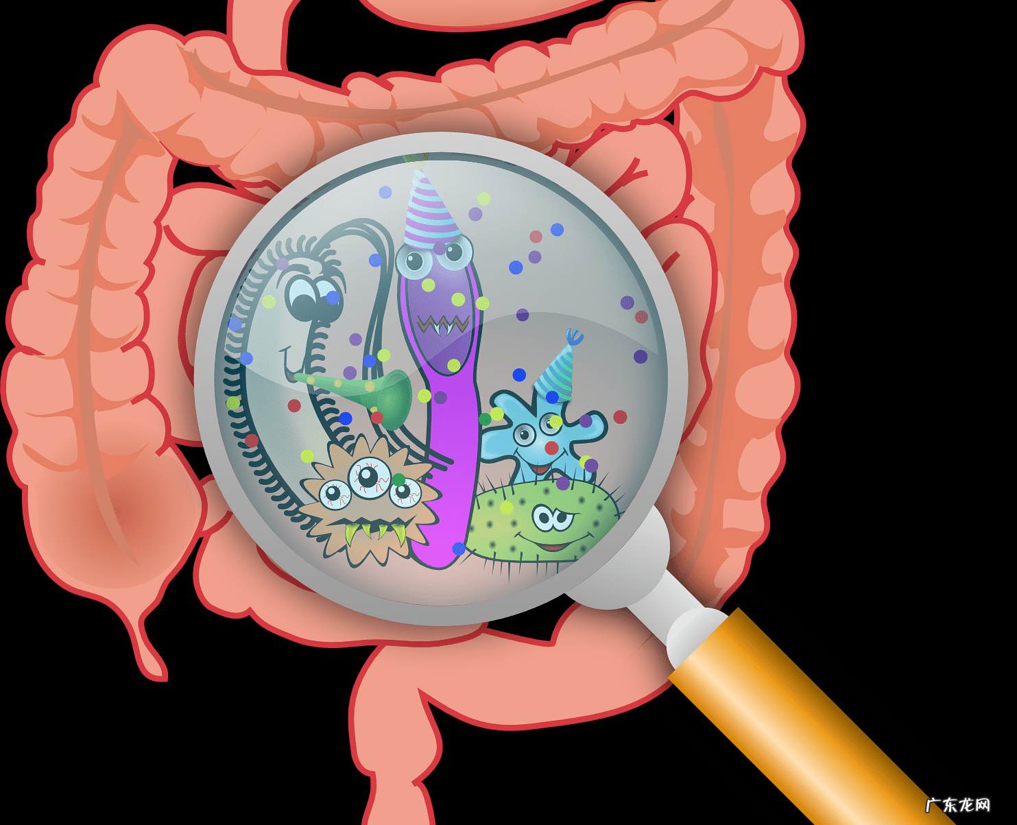 减大肚子的偏方 拉肚子减肥不