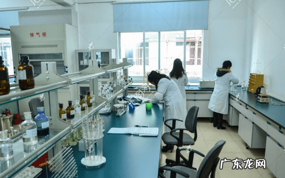 肝功能报告解读 肝功能检查结果分析报告