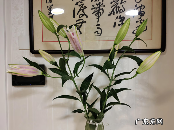 风水好吗141319 风水与能量场