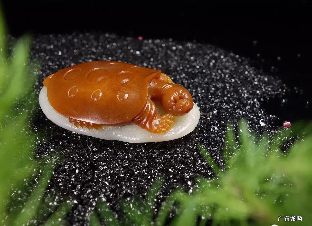 玉乌龟的风水作用