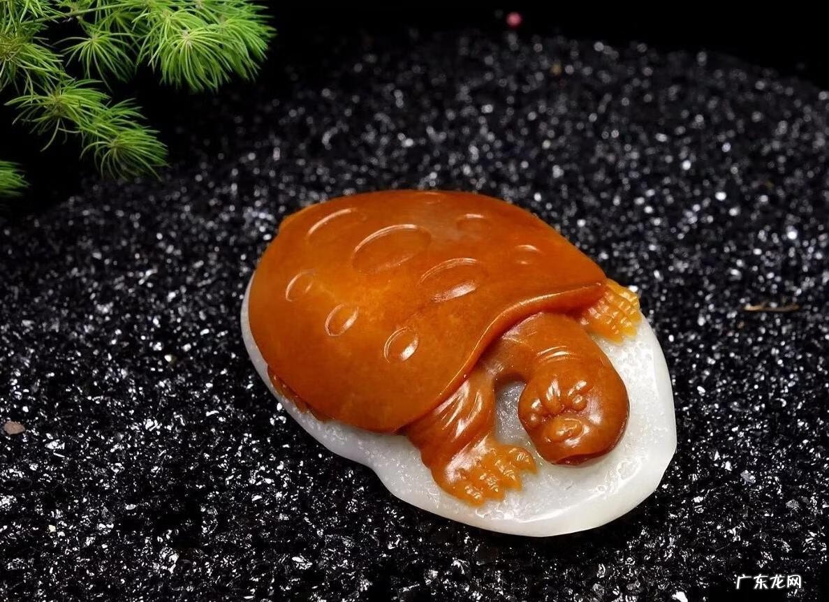 玉乌龟的风水作用