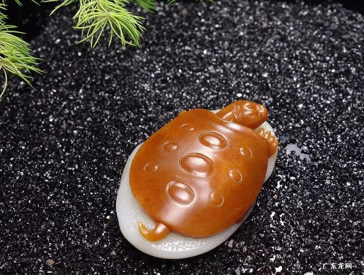 玉乌龟的风水作用