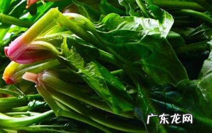吃菠菜的好处和坏处 长期吃菠菜的好处和坏处