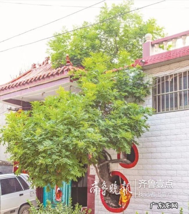 潍坊最好的风水在哪里 滕州旺发堂是研究风水的吗