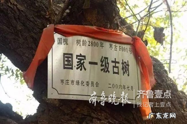 潍坊最好的风水在哪里 滕州旺发堂是研究风水的吗