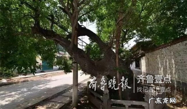 潍坊最好的风水在哪里 滕州旺发堂是研究风水的吗