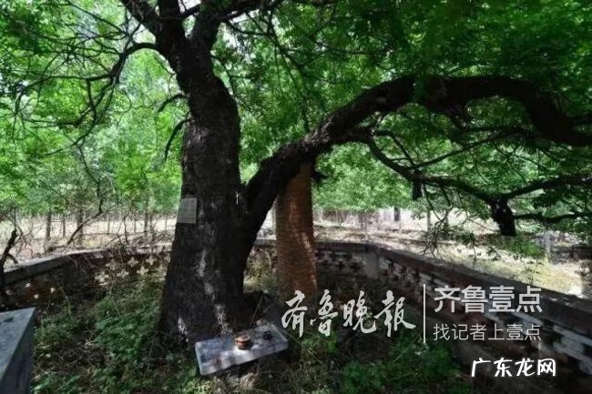 潍坊最好的风水在哪里 滕州旺发堂是研究风水的吗