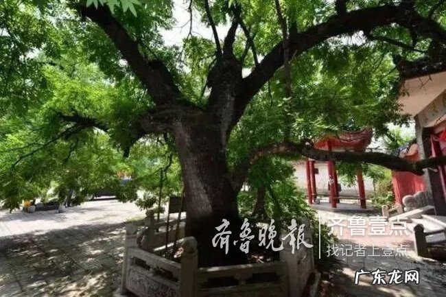 潍坊最好的风水在哪里 滕州旺发堂是研究风水的吗