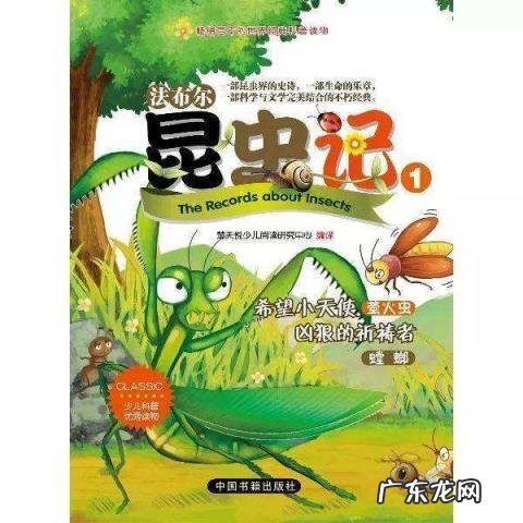 昆虫记感悟200字怎么写 昆虫记灰蝗虫感悟50字