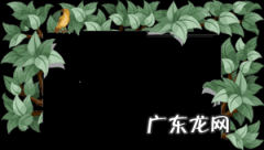 孕妇吃了苋菜怎么办 苋菜孕妇能吃吗?