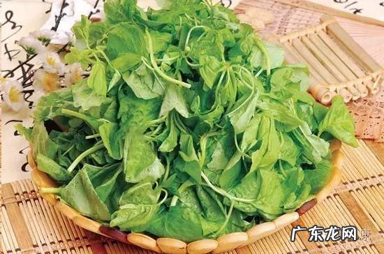 孕妇吃了苋菜怎么办 苋菜孕妇能吃吗?