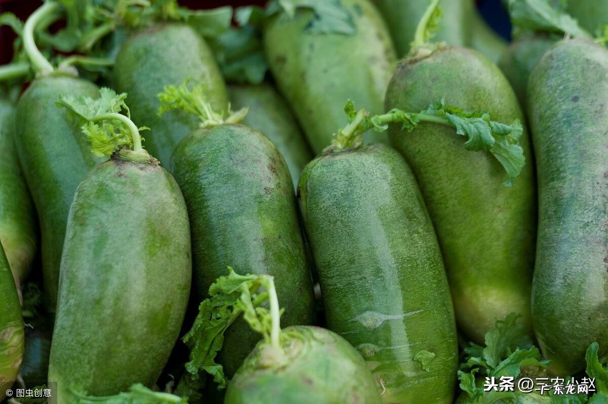 冬瓜子别名叫什么 冬瓜子别名