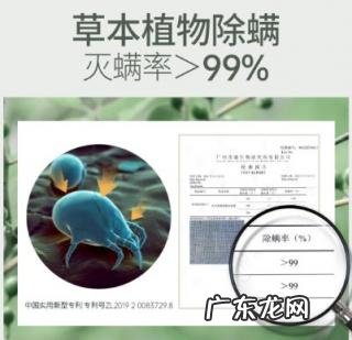 除螨沐浴露哪个好用 丝芬除螨沐浴露好用吗知乎