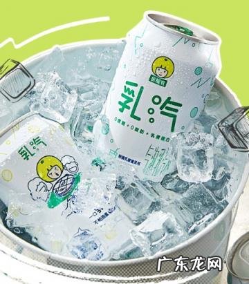 优酸乳乳汽哪个味道好喝 优酸乳气泡乳好喝吗知乎